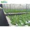 Farm Hydroponics