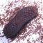 SOFT PVC COMPOUND GRANULES FOR SHOE SOLE