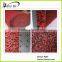 Double Color Pvc Loop Mat with Nail Backing