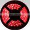 reindeer decoration light 15mm pcb RGB color changing 5050 led strip 12v