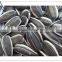 sunflower seeds 5009 0409