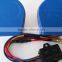 carved buffalo horns air horn compressor electric car horn