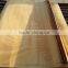 Good Qualtiy Beech Veneer ,Beech Core Veneer