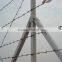 Hot sales Galvanized or PVC Barbed Iron Wire