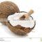 High quality desiccated coconut Vietnam
