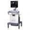 High-class hospital equipment 3d color doppler trolly ultrasound machine