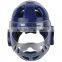 karate head guard,Wholesale High quality Taekwondo Head Guard with Mask,