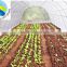 Junyu agriculture nonwoven fabric floriculture, garden and forest nurseries