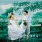 20ft x 10ft Hand Painted Scenic Photo Studio Backdrops For Wedding