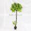 indoor artificial decoration green maple trees wood trunk