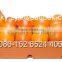 GOOD corrugated Plastic Agriculture Packing carton transfer box