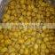 2015 new crop peeled chestnut are supplying
