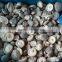 frozen Lentinus edodes