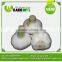 2015 Whole Sale Garlic/Cheap Price