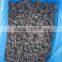 Top quality frozen mulberry from factory