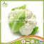2017 new crop fresh cauliflower