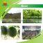 Best selling Luo Han Guo Extract
