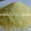 food additive Gelatin