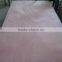 white laminated plywood sheet,bintangor plywood