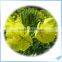 Health supplements evening primrose oil / EPO softgel capsule in factory direct sale