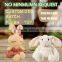 Promotional plush cubic pokemon toys