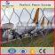 High Quality Reinforcing Security Airport Chainlink Fence