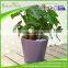 similar as Lechuza planter,flower pot with water level indicator,self watering planter,plastic flower pot,nursery pots