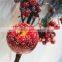 pine tree red fruit branch winter festival decorationwith snowy effect