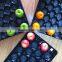 Fresh Produce Packaging Customized Disposable Plastic Fruit Liner