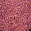 Red skin peanut kernels