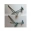 Umbrella Head galvanized roofing nails 1kg 20boxes roofing nails