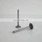 Diesel Engine Spare Parts A2300 Intake Valve 4900337