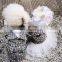 Luxury pet clothes Dog Denim suspenders skirt lace Princess skirt popular logo