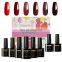 Best Selling UV Led  with Nail Gel Polish 6 Colors Base Top Coat Manicure Tools Kit