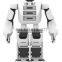 Humanoid robot