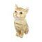custom animal cute lucky cat sublimation ceramic piggy bank money box jar for girls