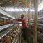 Battery layer chicken cages rearing 10000 layers for poultry farm
