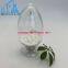Research Chemicals  SGT-78  SGT-78  SGT-78  SGT-78  SGT-78  SGT-78  SGT-78  SGT-78  CAS 2171492-36-5 supplier  from  chian  +8617778211821