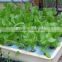 new condition hydroponic fodder sprouting machine / new condition fodder sprouting machine