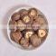 Dried Shiitake Mushroom