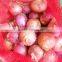 2015 Onion Lowest Price With Best Quality