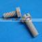 Customized fasteners high precision injection moulding custom peek plastic pan head screw