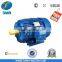 AEEF Three Phase Induction Motor