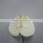 Elegant in Smell Factory Direct Fresh Antirrhinum Bunch
