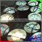 IP68 LED Lithing. IP68 underwater led pool light18W! Waterproof LED Light