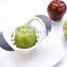 16 Stainless Steel BladesApple Slicer with Bonus Clean Brush & Orange Peeler