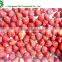 IQF frozen strawberry