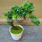 mixed artificial mini cactus/succulent bonsai for home decorations / garden decorations