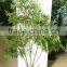 2016 new product high simulation artificial plant with factory price