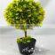Selling table decoration artificial boxwood grass ball bonsai